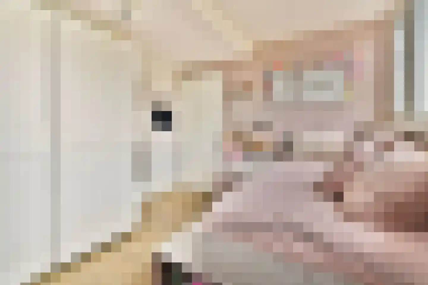 Cederdreef 14 Vlaardingen thumbnail 30