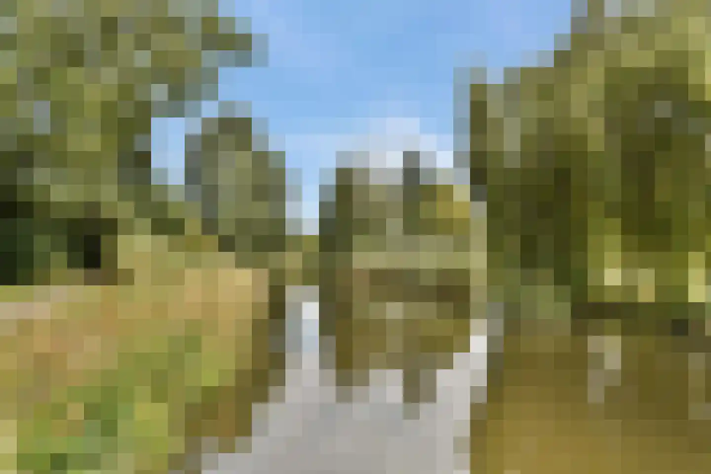 Cederdreef 14 Vlaardingen thumbnail 35
