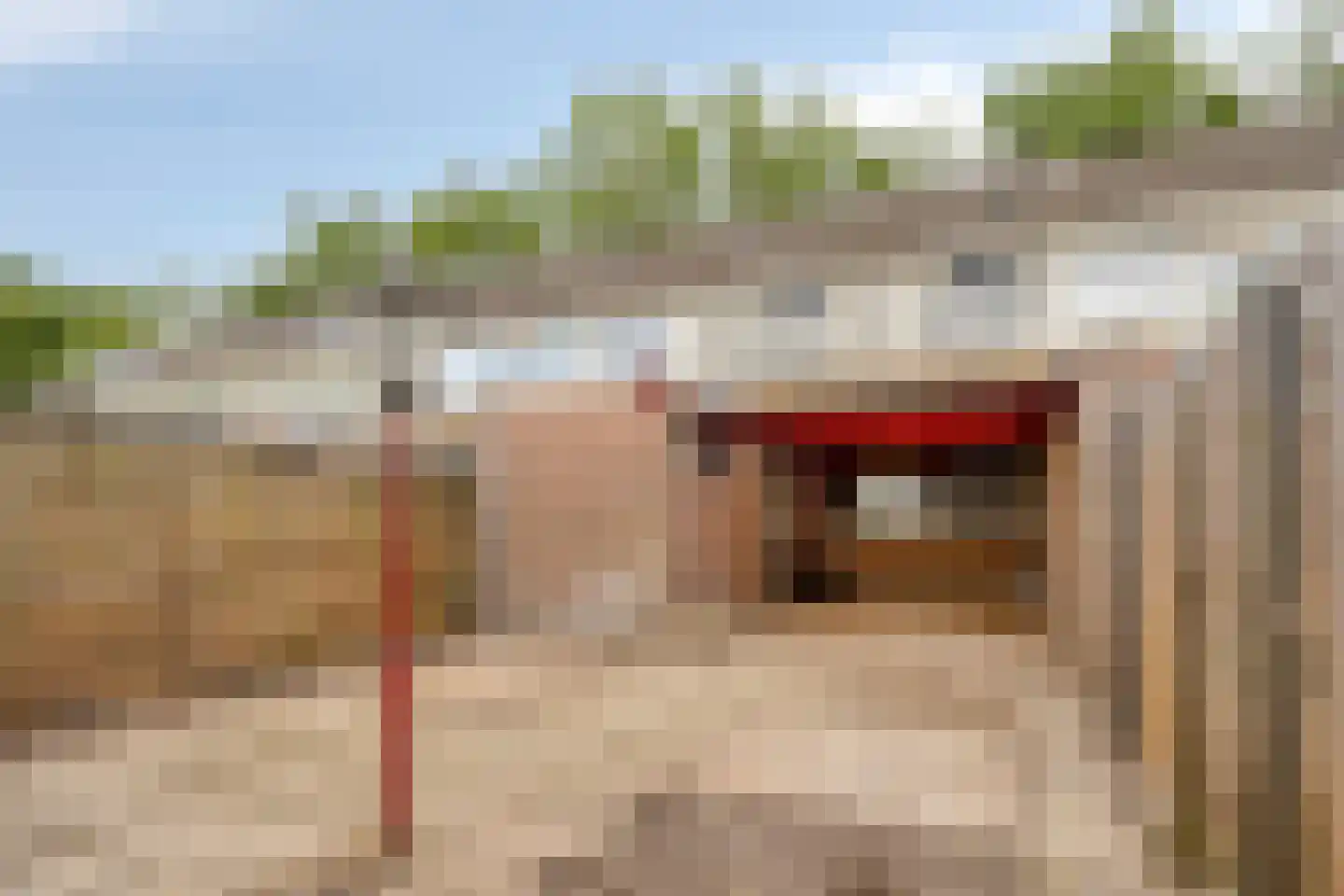 Cederhage 21 Stadskanaal thumbnail 28