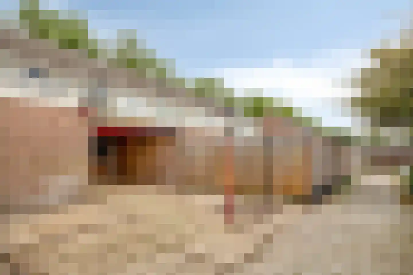 Cederhage 21 Stadskanaal thumbnail 29