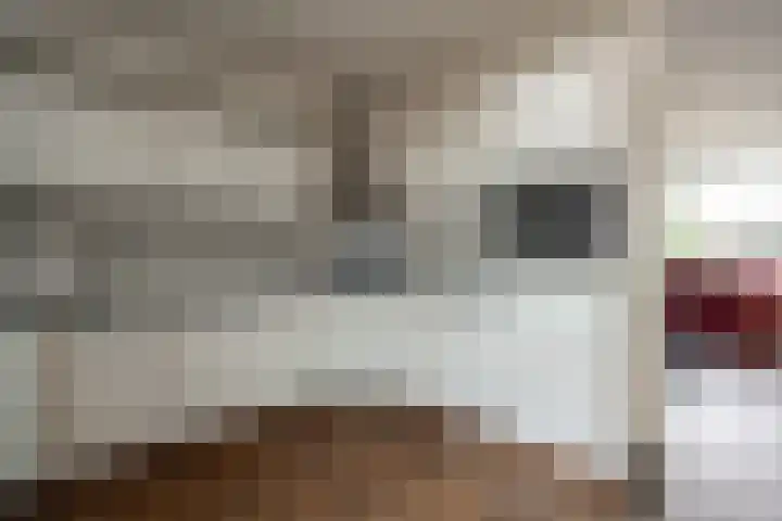 Cederhage 31 Stadskanaal thumbnail 11