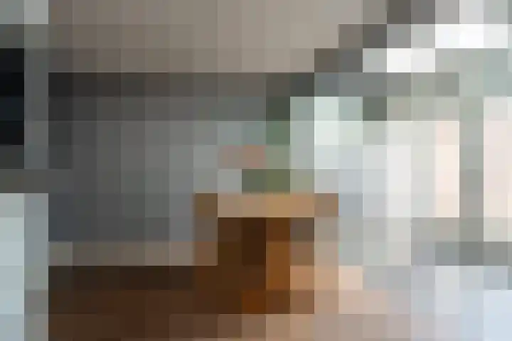 Cederhage 31 Stadskanaal thumbnail 13