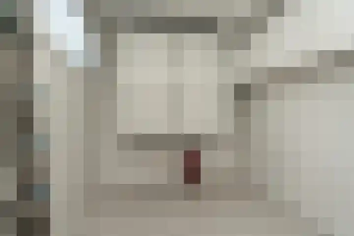 Cederhage 31 Stadskanaal thumbnail 15