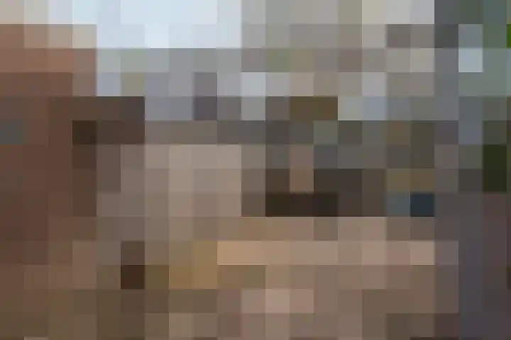 Cederhage 31 Stadskanaal thumbnail 36