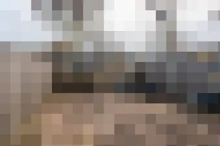 Cederhage 31 Stadskanaal thumbnail 37