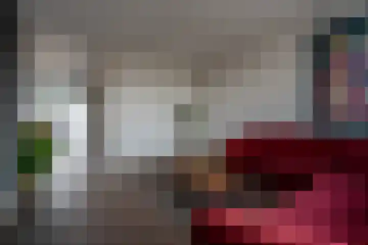 Cederhage 31 Stadskanaal thumbnail 4