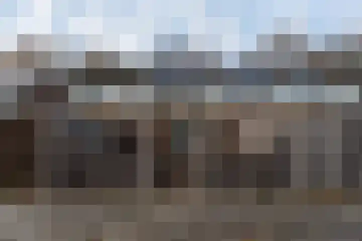 Cederhage 31 Stadskanaal thumbnail 40