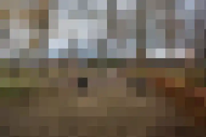 Cederhage 31 Stadskanaal thumbnail 42