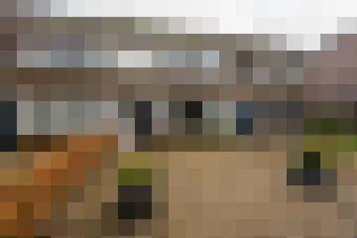 Cederhage 31 Stadskanaal thumbnail 43