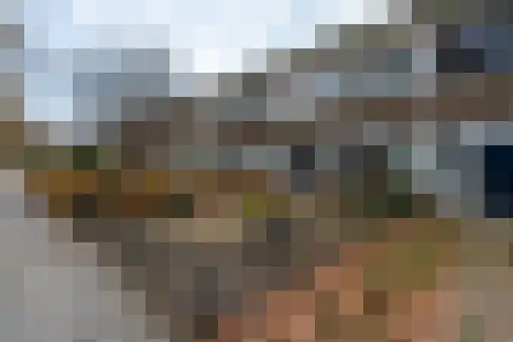 Cederhage 31 Stadskanaal thumbnail 44
