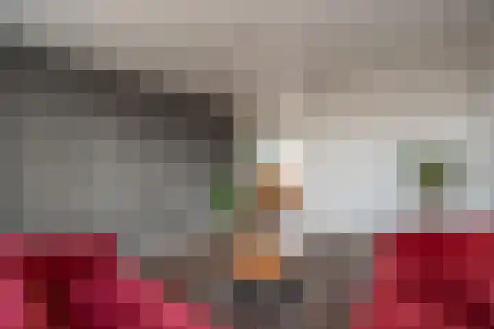 Cederhage 31 Stadskanaal thumbnail 6