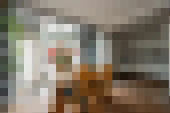 Cederhage 31 Stadskanaal thumbnail 7