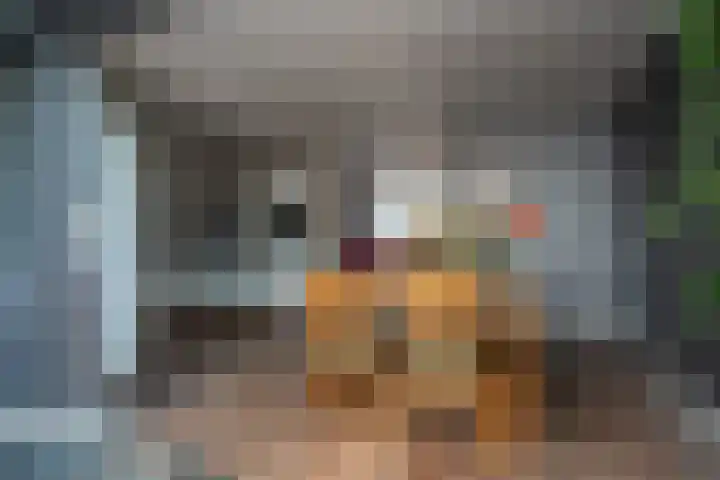 Cederhage 31 Stadskanaal thumbnail 8