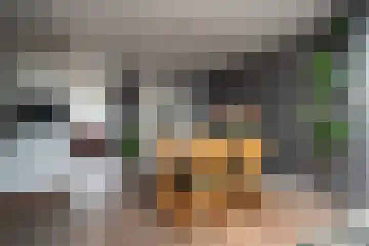 Cederhage 31 Stadskanaal thumbnail 9