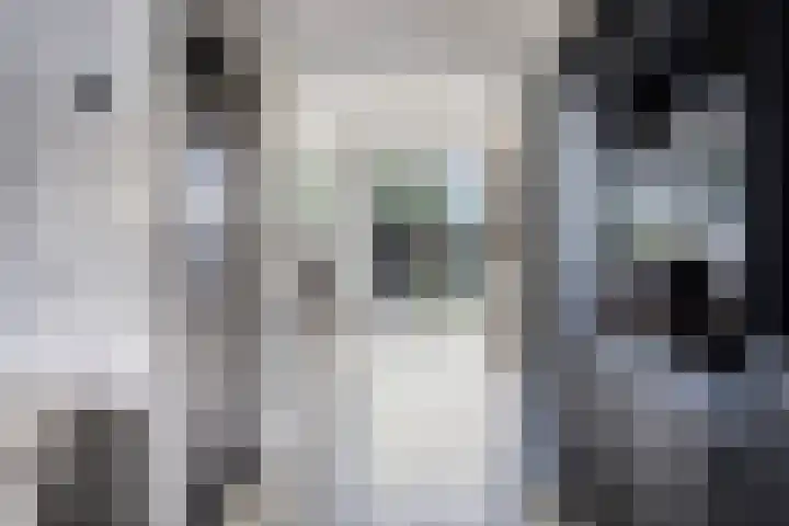 Cederhage 47 Stadskanaal thumbnail 11