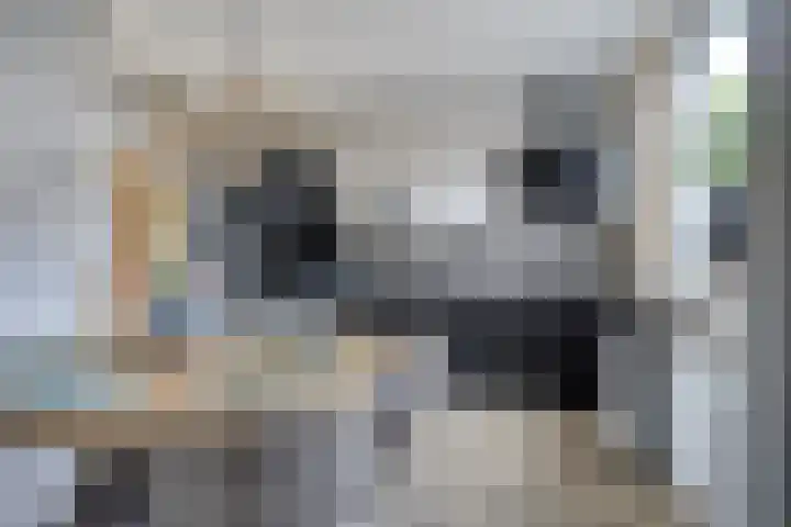 Cederhage 47 Stadskanaal thumbnail 19