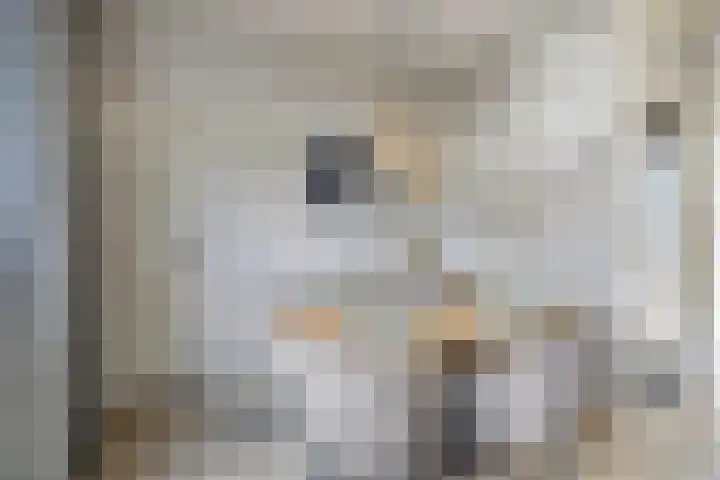 Cederhage 47 Stadskanaal thumbnail 21