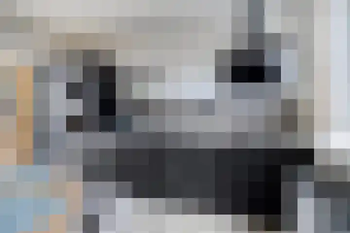 Cederhage 47 Stadskanaal thumbnail 23