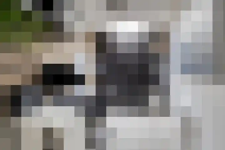 Cederhage 47 Stadskanaal thumbnail 25