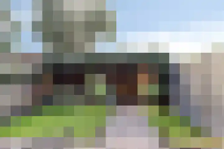 Cederhage 47 Stadskanaal thumbnail 4