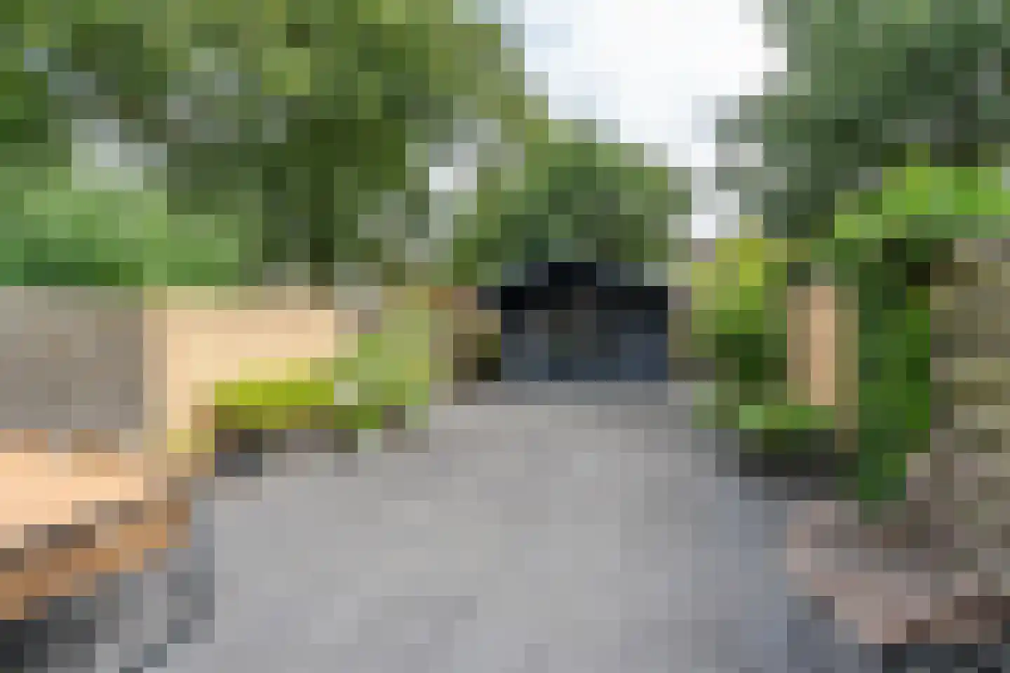 Cederhage 48 Stadskanaal thumbnail 34