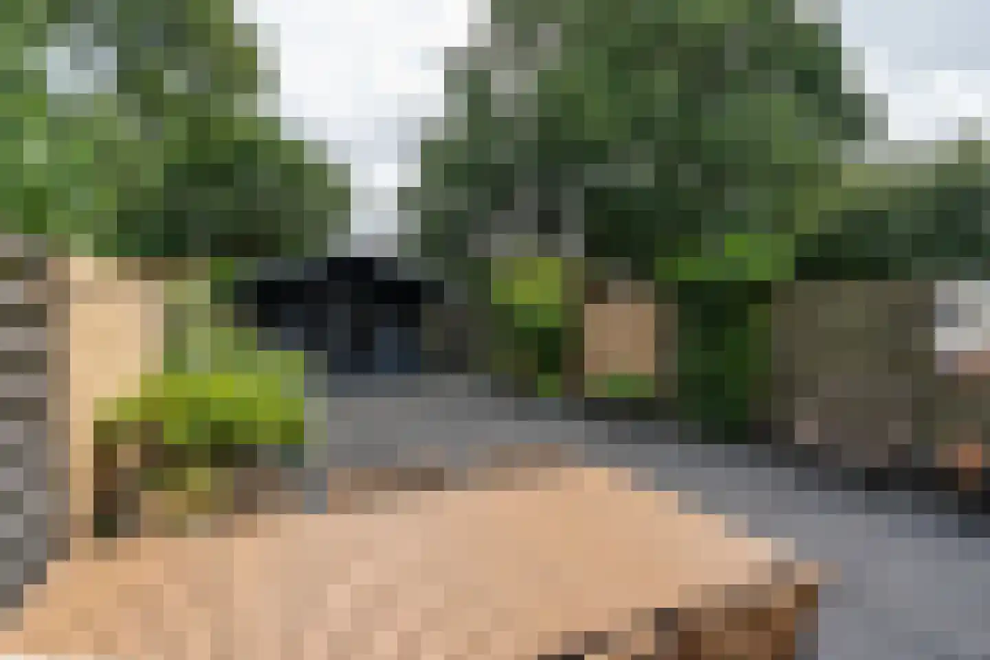 Cederhage 48 Stadskanaal thumbnail 35