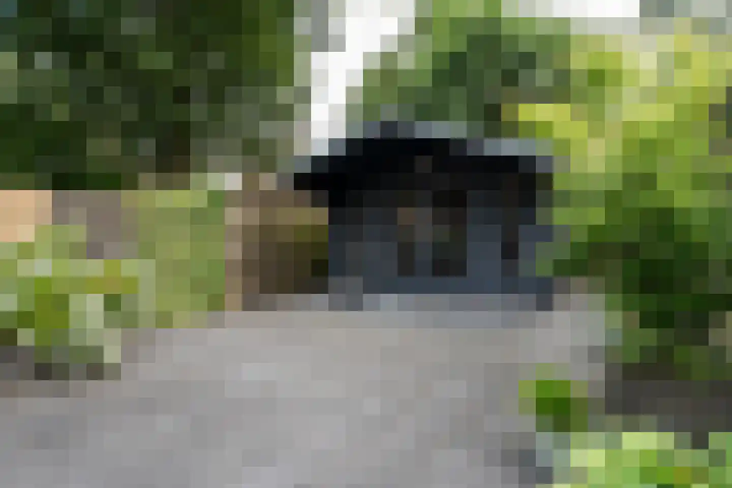 Cederhage 48 Stadskanaal thumbnail 37
