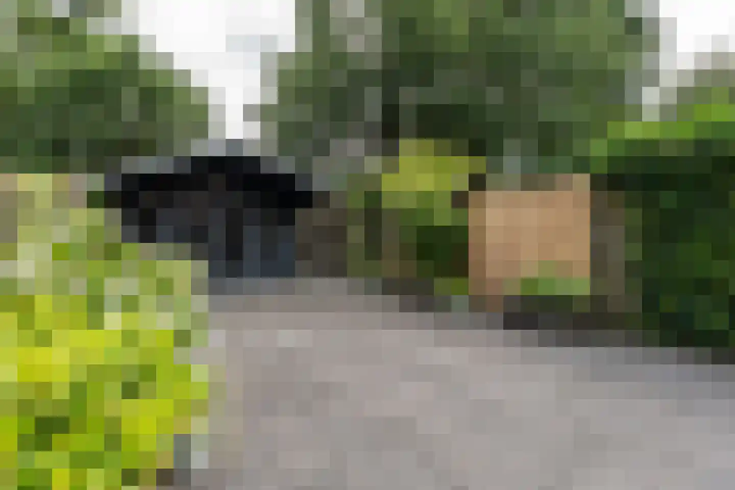 Cederhage 48 Stadskanaal thumbnail 38