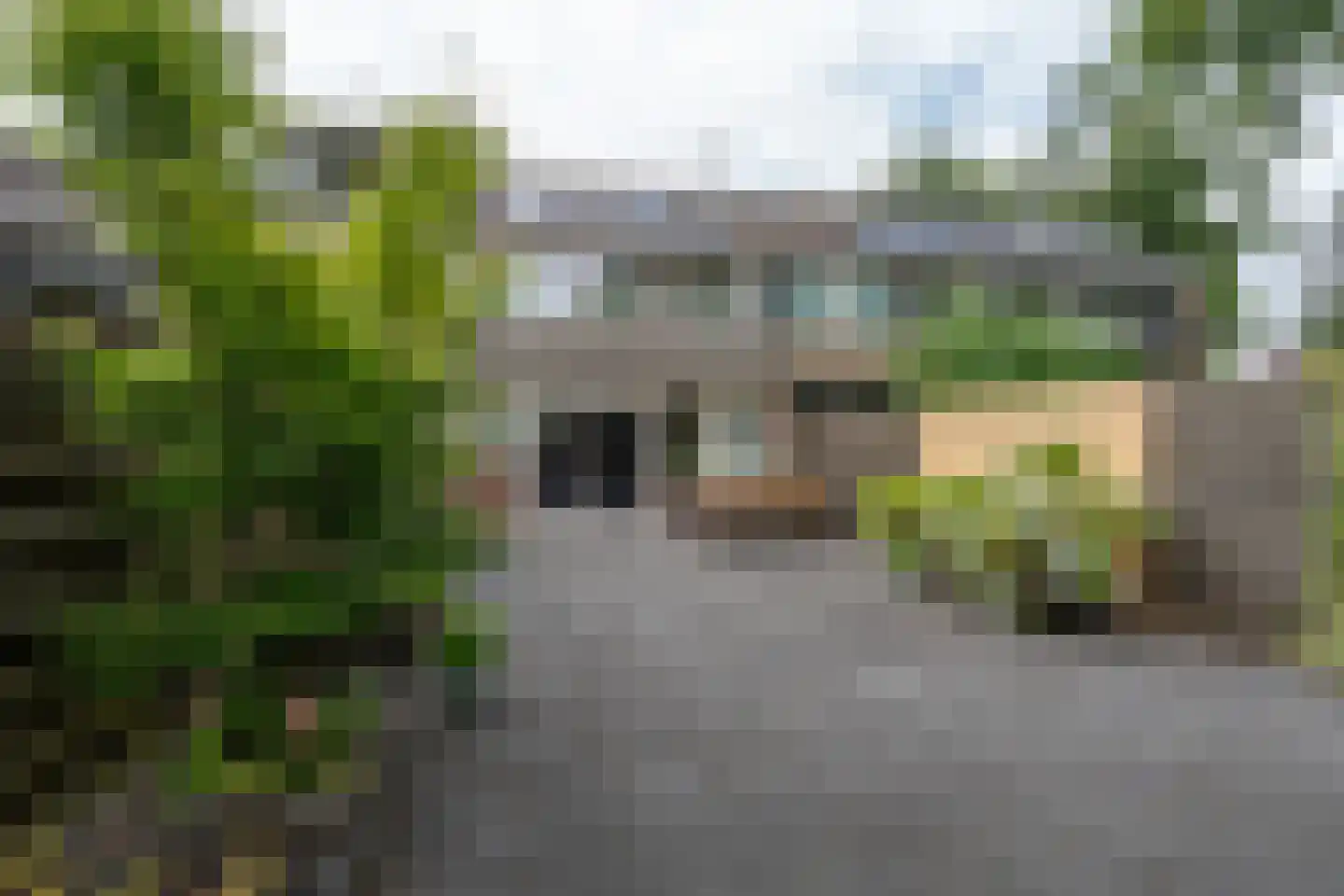 Cederhage 48 Stadskanaal thumbnail 40