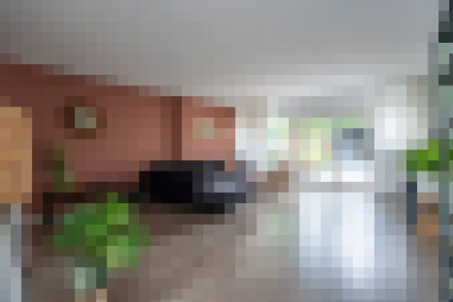 Cederhage 48 Stadskanaal thumbnail 7