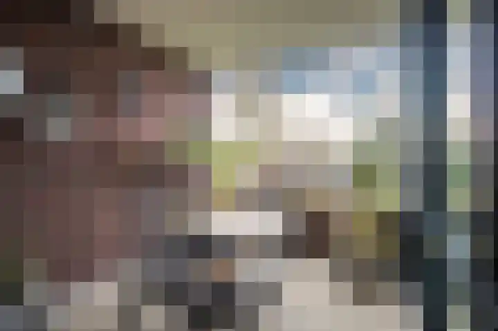 Cederhof 28 Duiven thumbnail 4