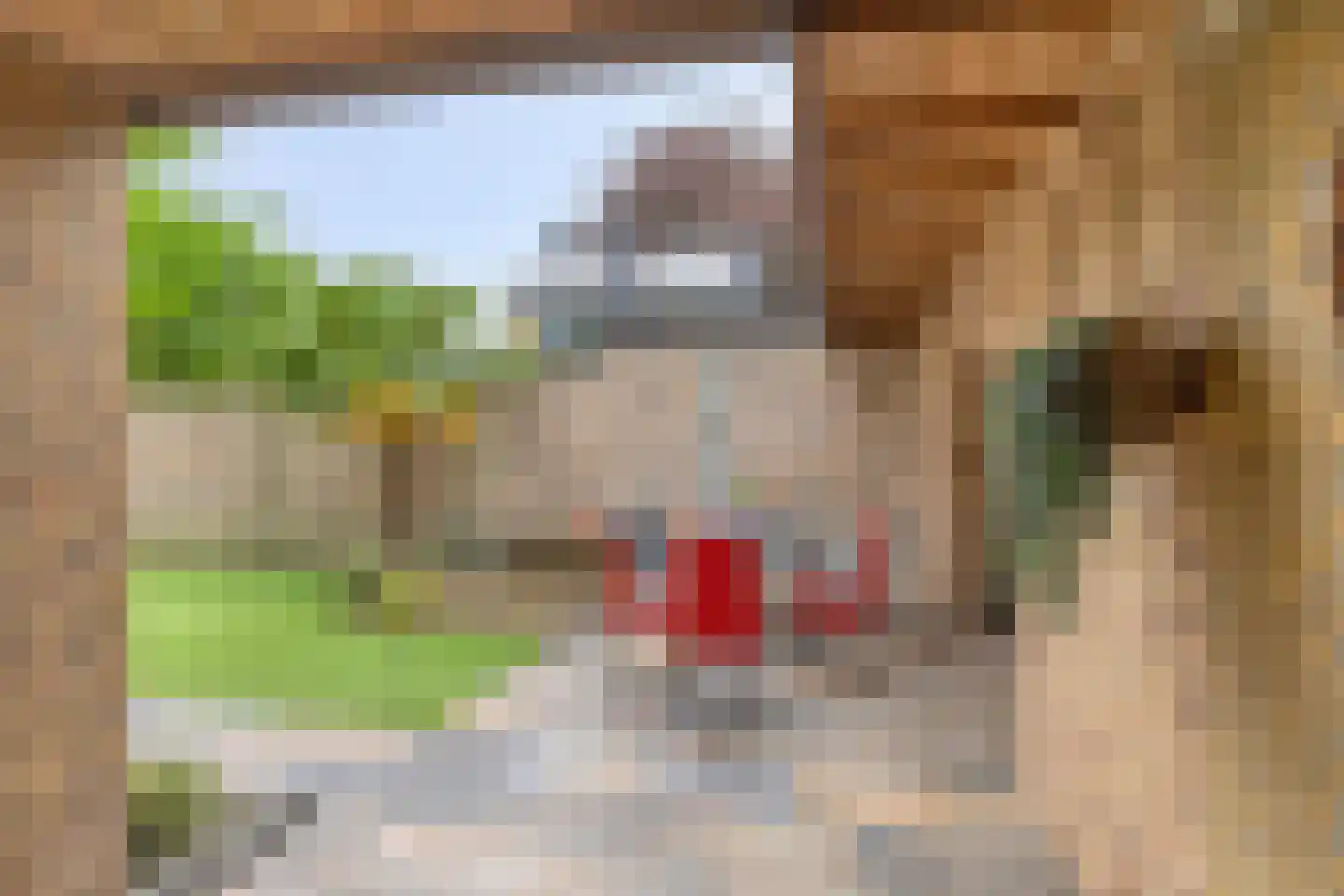 Cederhof 8 Maasbree thumbnail 34