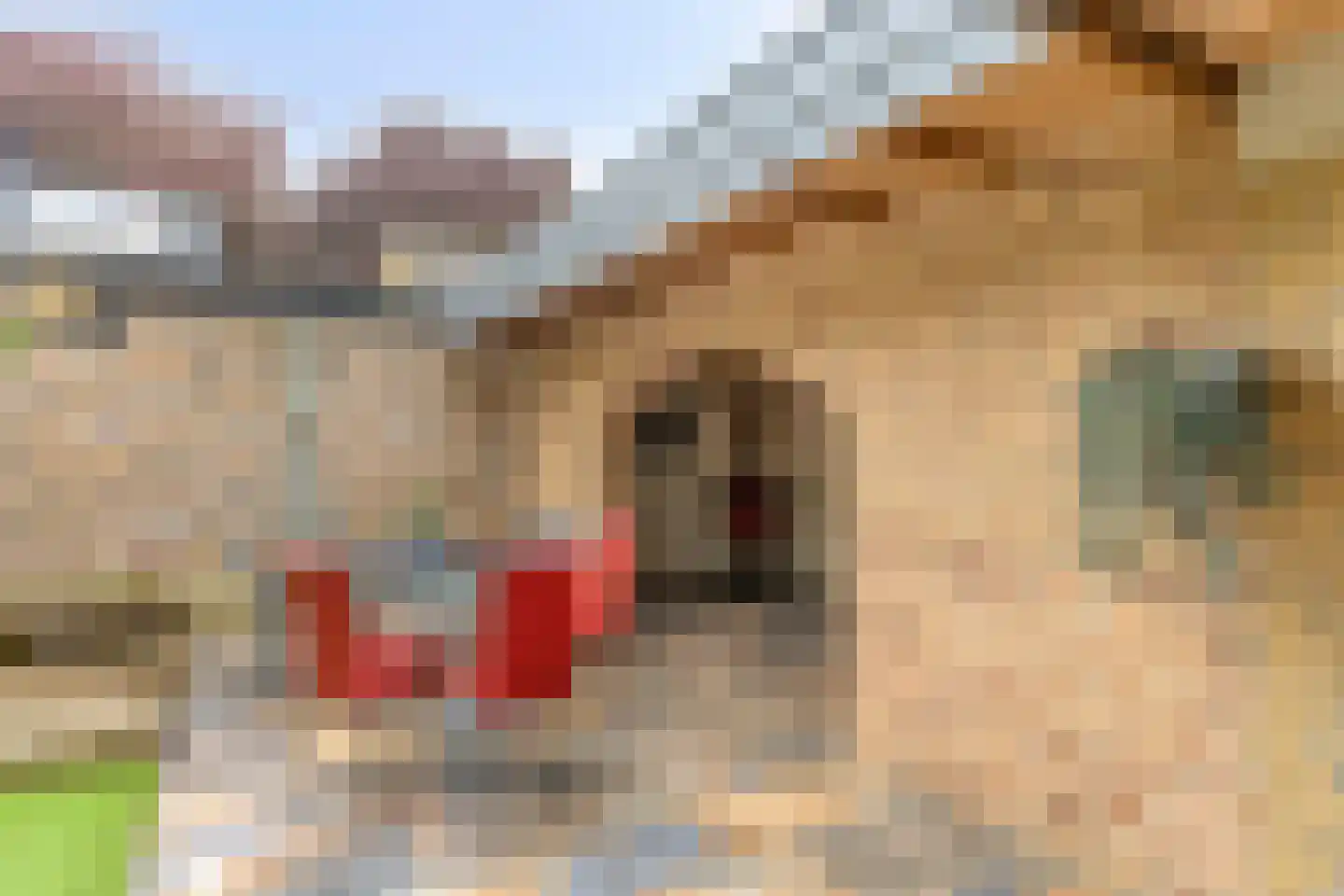 Cederhof 8 Maasbree thumbnail 35