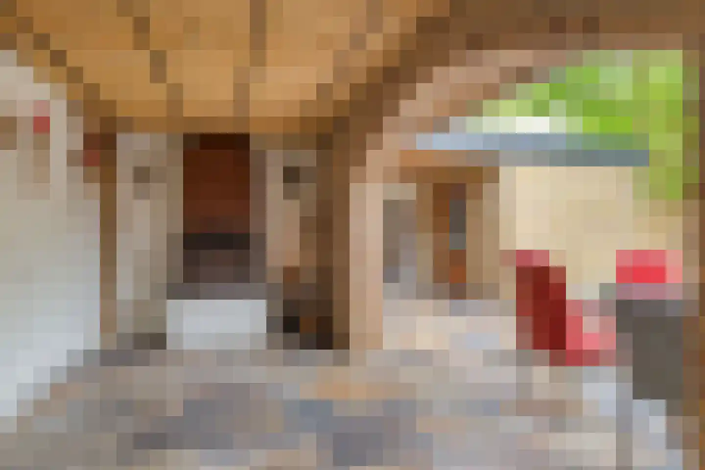 Cederhof 8 Maasbree thumbnail 36
