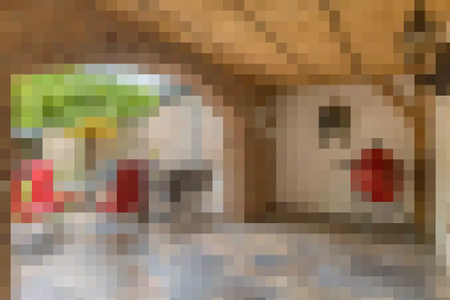 Cederhof 8 Maasbree thumbnail 37