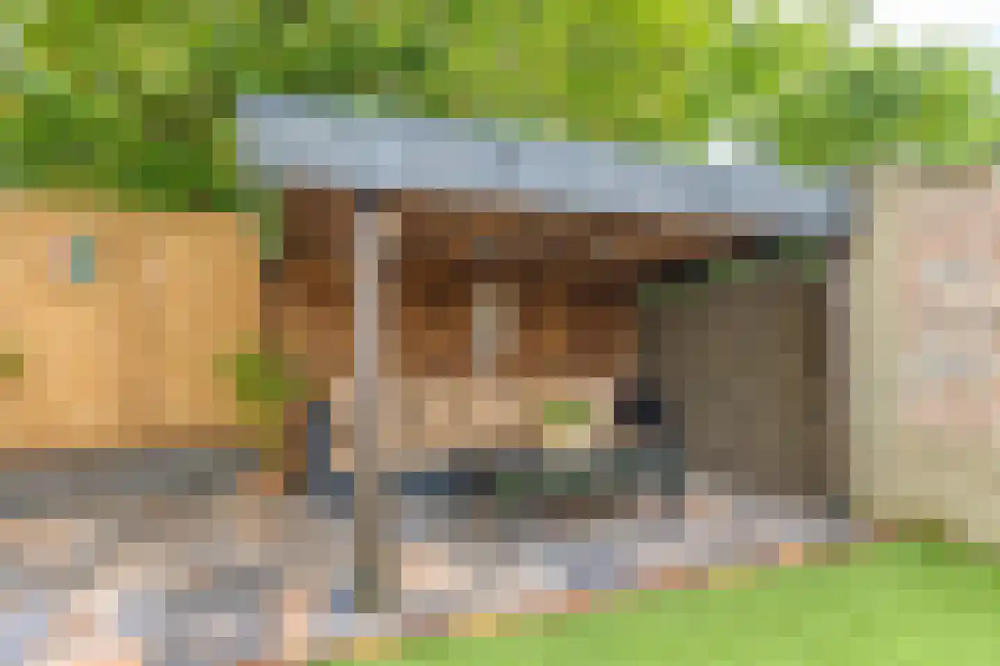 Cederhof 8 Maasbree thumbnail 40