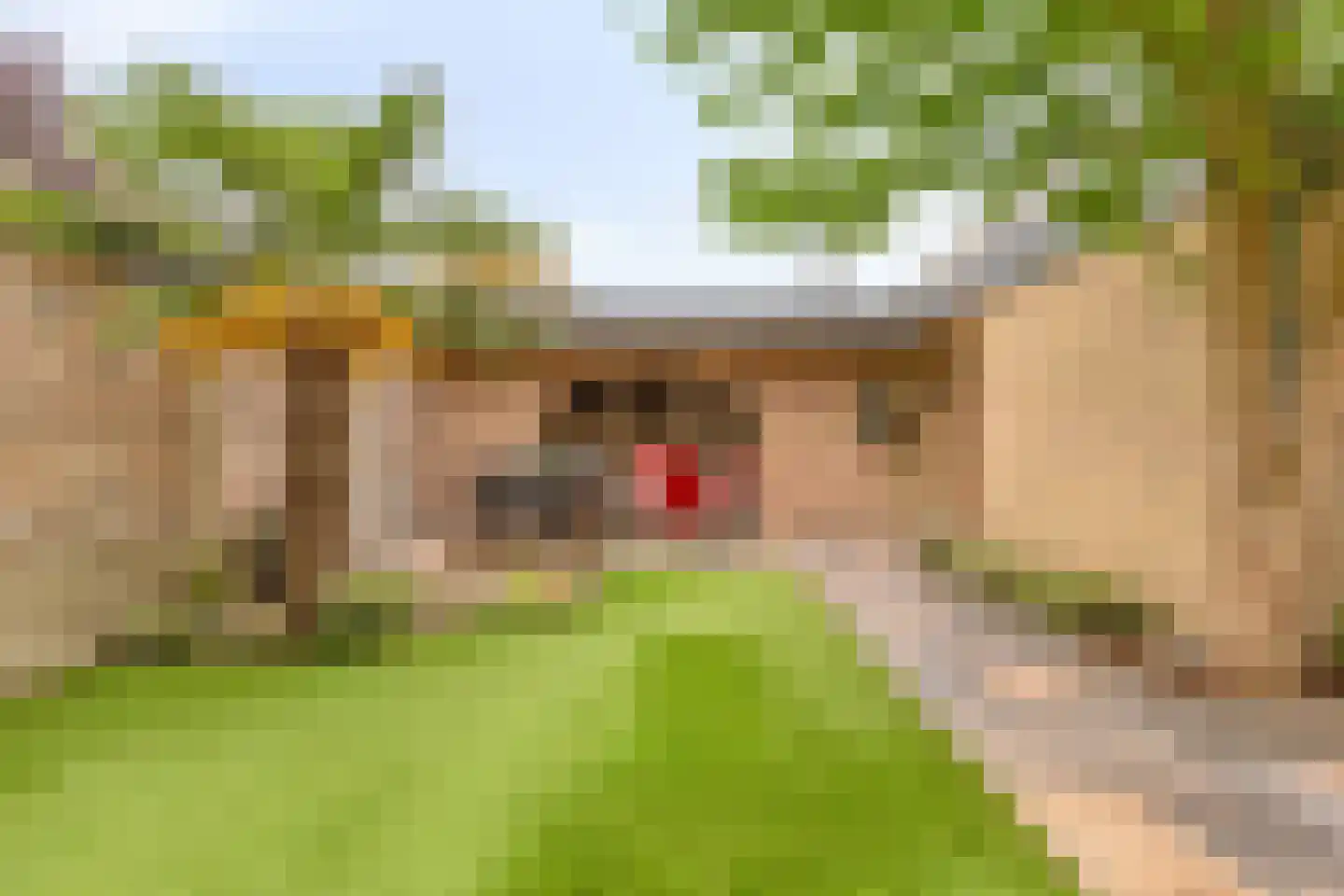 Cederhof 8 Maasbree thumbnail 41