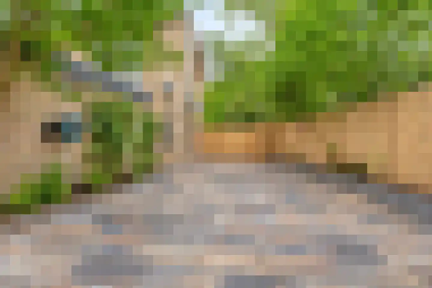 Cederhof 8 Maasbree thumbnail 42