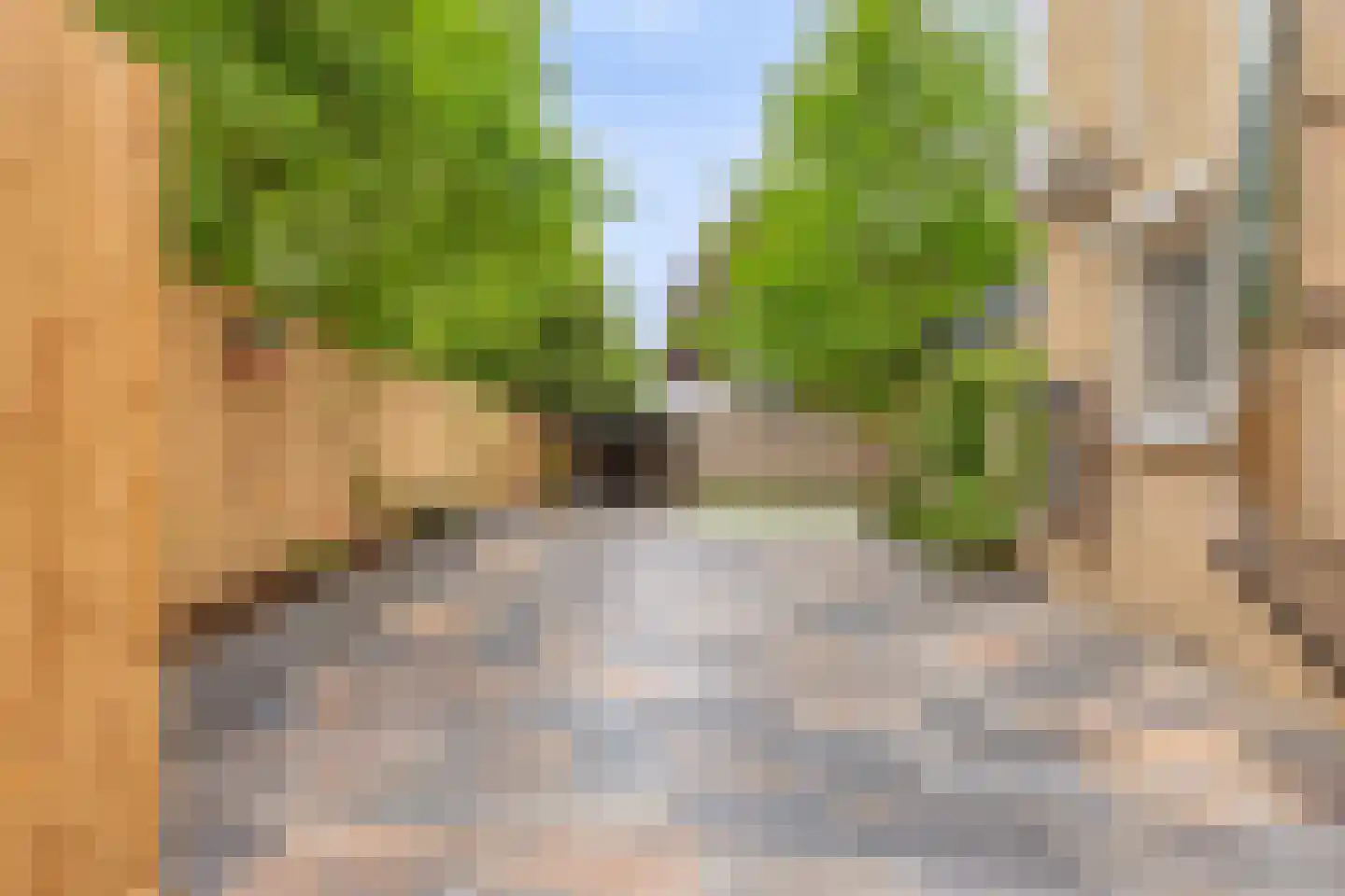 Cederhof 8 Maasbree thumbnail 43