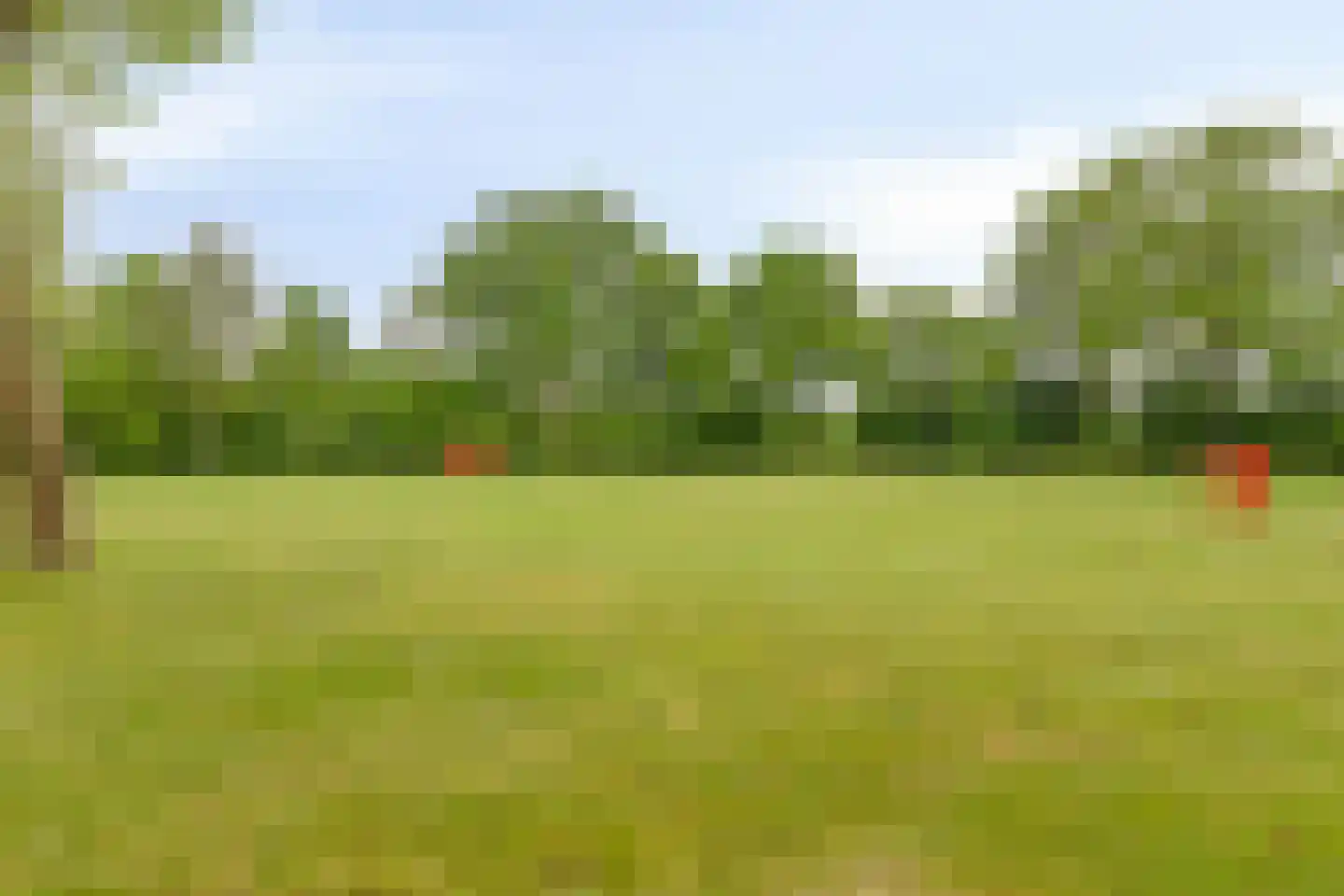 Cederhof 8 Maasbree thumbnail 48
