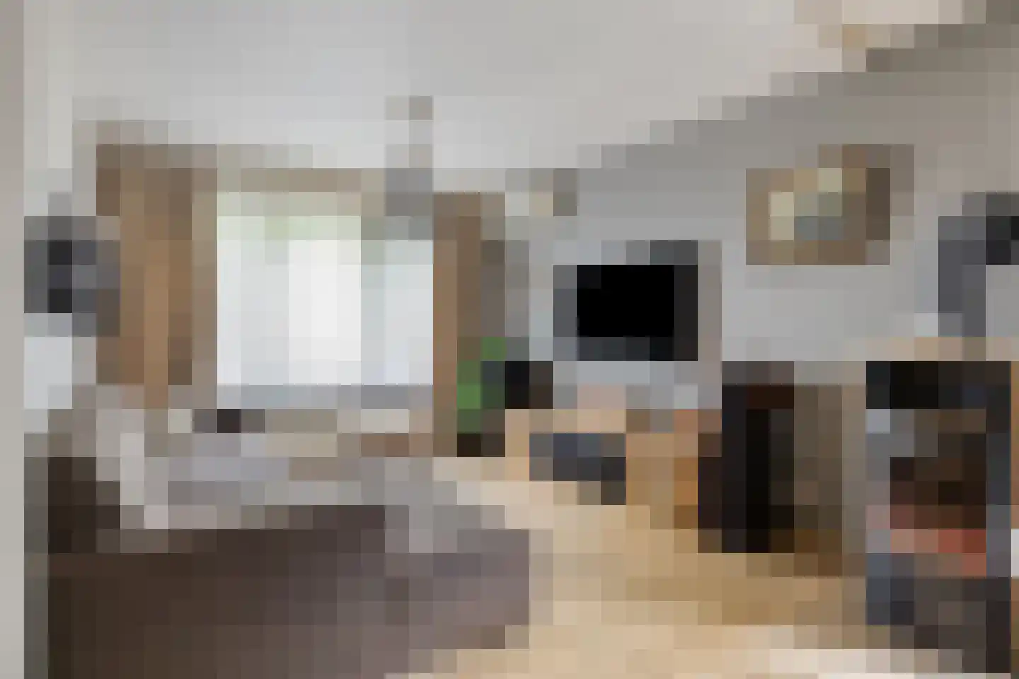 Cederhof 8 Maasbree thumbnail 8