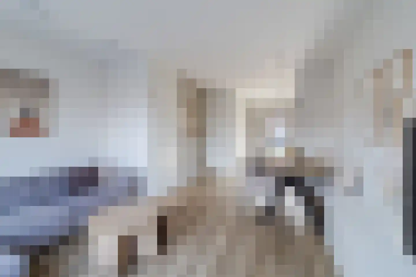 Cederhout 12 Waddinxveen thumbnail 11