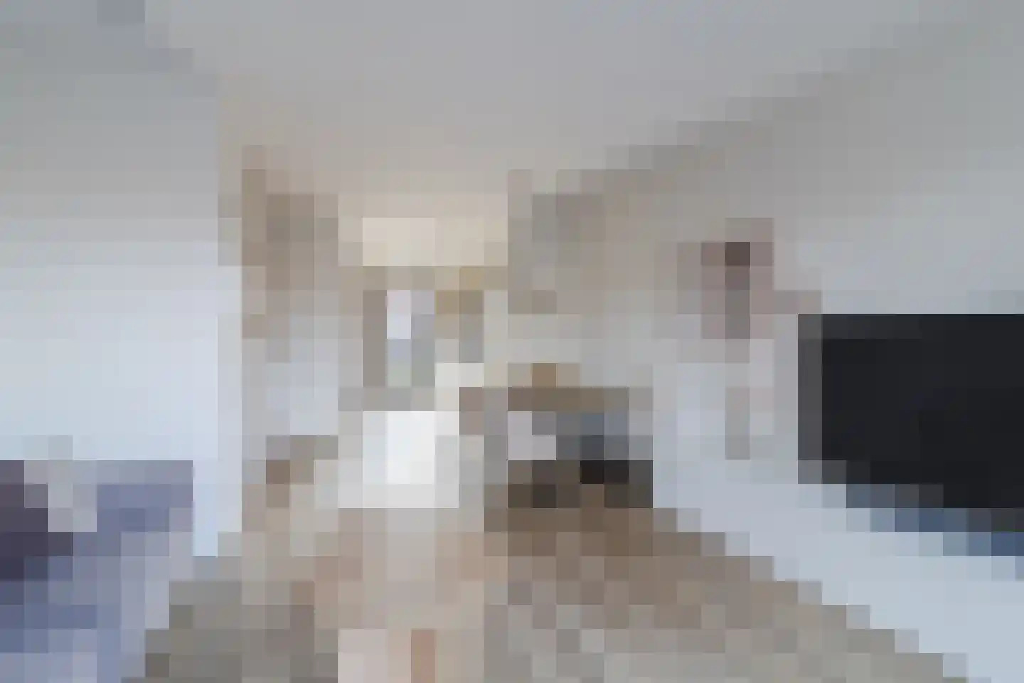 Cederhout 12 Waddinxveen thumbnail 13