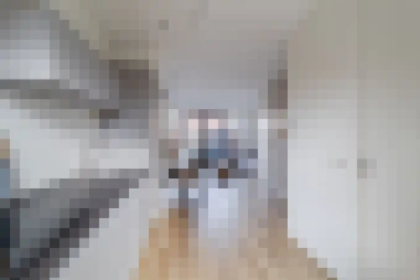 Cederhout 12 Waddinxveen thumbnail 19