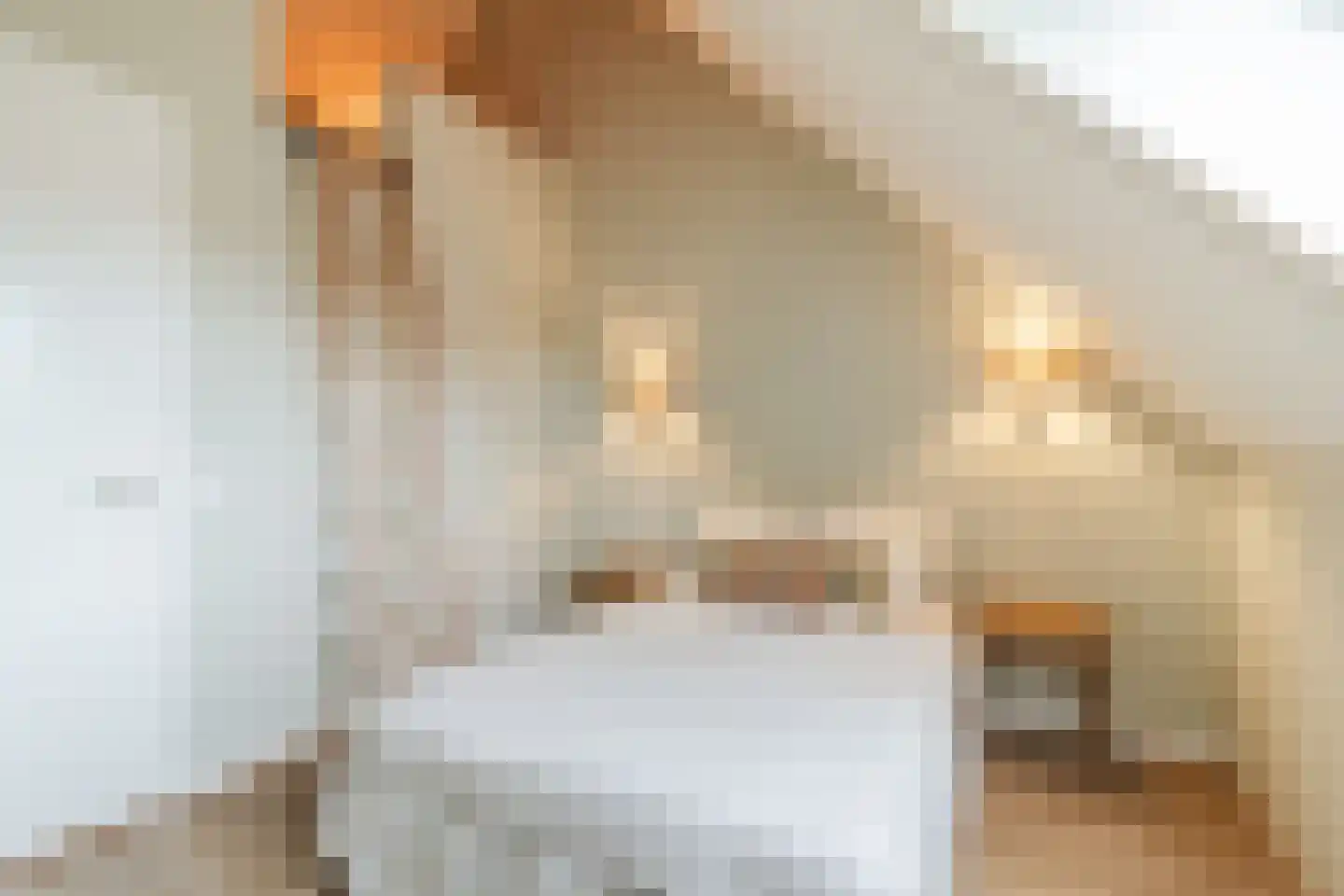 Cederhout 18 Waddinxveen thumbnail 33