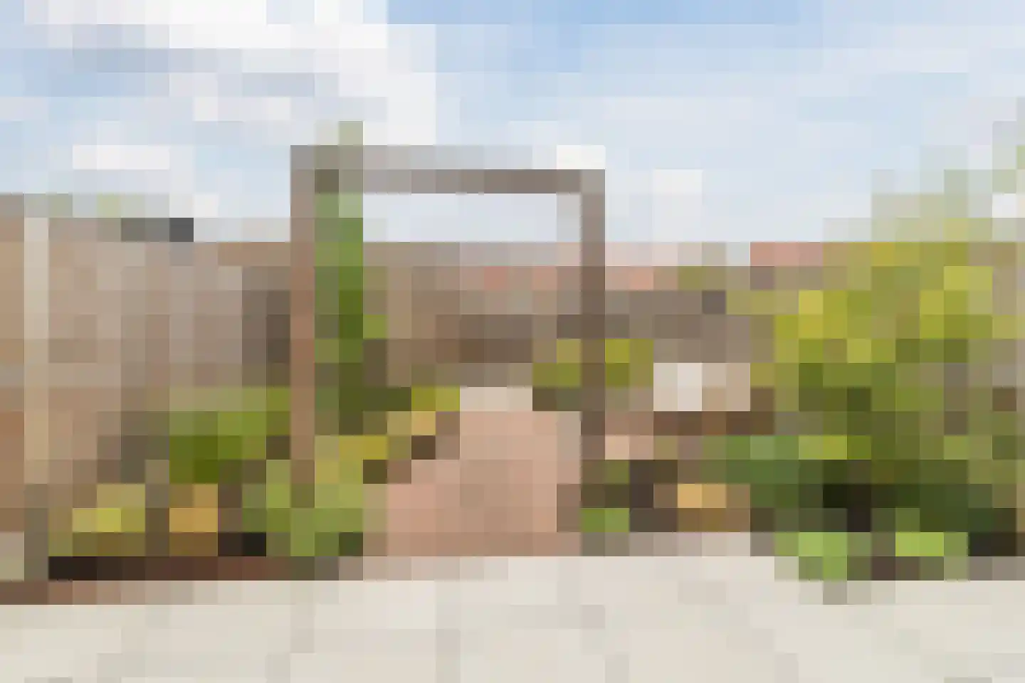 Cederhout 18 Waddinxveen thumbnail 42