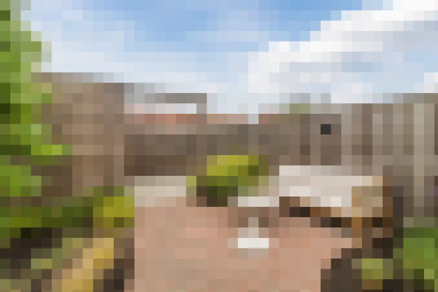 Cederhout 18 Waddinxveen thumbnail 43