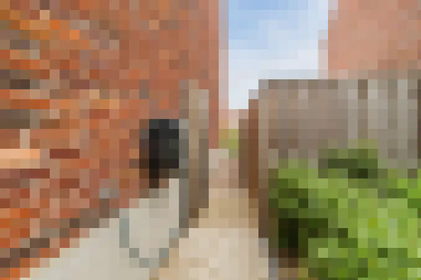 Cederhout 18 Waddinxveen thumbnail 46