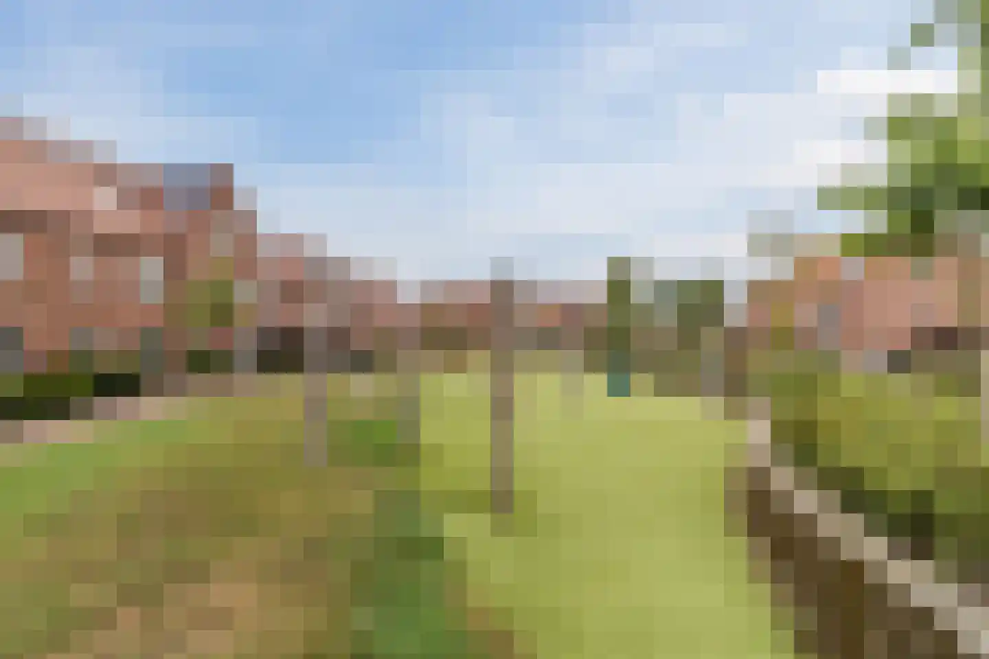 Cederhout 18 Waddinxveen thumbnail 50