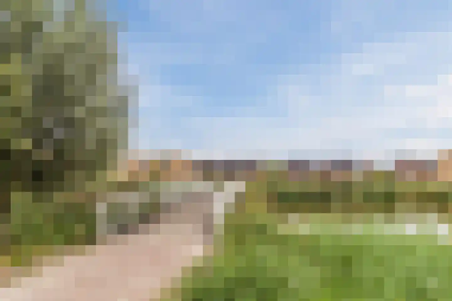 Cederhout 18 Waddinxveen thumbnail 54